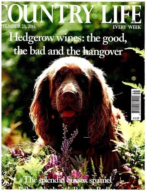 Country Life Magazine Cover
