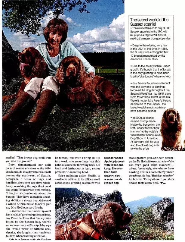 Country Life Magazine Feature 2