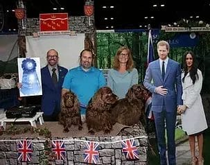 Beryl Ch ShootingStar West w’the Nite