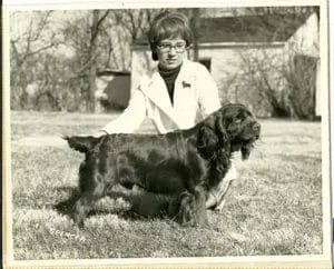 Sussex historical photo