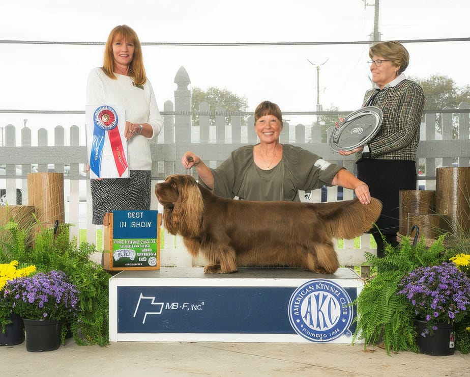 2023 Best in Show Winner 3